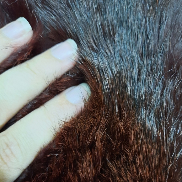 ~{Vintage}~ Fur collar red leather jacket. - Picture 8 of 12